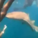 Ator de “High School Musical” é detido por posse de pornografia infantil