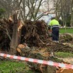 ‘O Agente Secreto’ é indicado ao César, principal prêmio de cinema da França