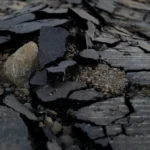 Após término, Zé Felipe diz que 2025 foi seu ‘melhor ano da vida’