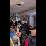 Thaila Ayala encontra cobra em casa no Rio e aciona os bombeiros; veja