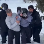 Bruce Willis não faz ideia de que sofre de demência, diz sua mulher em podcast