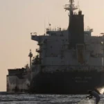 Fósseis de 770 mil anos podem revelar ancestral de humano moderno e de neandertal