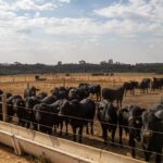 Copa do Brasil tem dois jogos no encerramento da primeira fase com a estreia do Velo Clube