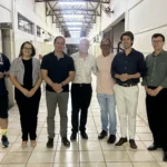 Seleção natural: unicórnios perdem seus chifres