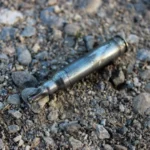 Famosos que foram diagnosticados com demência