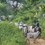 Esposa de Moraes é alvo de vazamento de dados e operação do STF