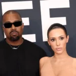 Família encontra mais de 50 escorpiões em casa no interior de SP