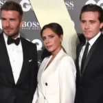 Água-viva gigante rara é avistada em expedição no fundo do mar argentino