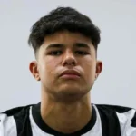 Sementes de mamão: veja possíveis benefícios e como usar