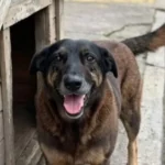 Avião com carga de dinheiro cai e deixa 20 mortos na Bolívia