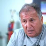 Por que orcas são gênios do mal?