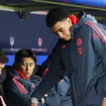 Mulher é presa após arremessar gata do 12º andar de prédio em Curitiba