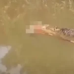 Duas ciclistas morrem após atropelamento em rodovia no RS; motorista é preso após fugir do local