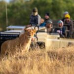 O que comer na Quaresma? 3 receitas vegetarianas que valem a pena