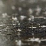 Filmes e séries que foram afetados por tragédias da vida real