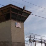 Fim do amor? Famosos que terminaram no ano passado