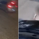 Ursos invadem pista de esqui nos EUA e surpreendem turistas; assista