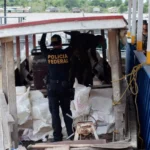 Rotas de integração no continente podem reduzir custos comerciais