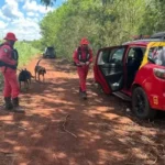 Potássio é essencial, mas excesso pode causar 3 complicações