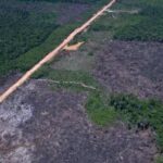 Eletrificados já respondem por 69% do crescimento do mercado brasileiro