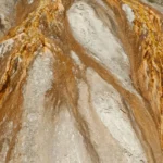 Após ouro, Lucas Pinheiro vai encontrar Lula e disputar Copa de esqui