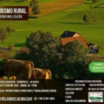 Heineken decide curar “ressaca” dos resultados com reestruturação e seis mil demissões
