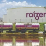 Almoço saudável: 5 receitas leves e refrescantes com peixe 