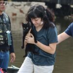 Torta de liquidificador: 3 receitas ricas em proteínas para o lanche da tarde 