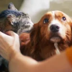 As previsões de Stephen Hawking estão se tornando realidade?