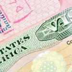 Kyra Gracie relembra assédio sofrido no jiu-jítsu