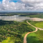 Barbie do ICE já revelou ter matado cachorra a tiros