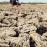 Estudo liga bactérias do intestino e da boca a traços de psicopatia