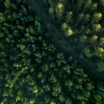 Conflito escala nas últimas horas: EUA atacam e Irã responde