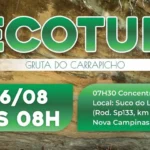 Governador do Maranhão pede ao STF suspensão de inquérito relatado por Flávio Dino