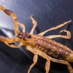 Alerta AVC: sinais de que você pode ter um derrame a qualquer momento