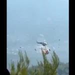Argentino suspeito de golpe do amor causa prejuízo de R$ 1 milhão a mulher no RJ