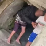 Quais hábitos devem ser evitados após os 50 para proteger o cérebro?
