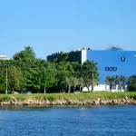 O plano do medalhista olímpico Flávio Canto para tornar o Instituto Reação autossuficiente