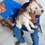 Outubro Rosa: cuidado, informação e prevenção! – Prefeitura Municipal de Cosmópolis